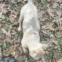 processed/66d1a18c-7cdb-4ad5-b1b0-88513a7c6186/listing/02697ab5-1124-445d-a496-188842883749/2677f706-aadf-41be-aa6f-31174aecdd50