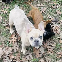 processed/66d1a18c-7cdb-4ad5-b1b0-88513a7c6186/listing/02697ab5-1124-445d-a496-188842883749/b0ac3ebf-1935-4969-a063-396105fe4f2e