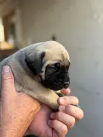 processed/66d20cd7-9862-49d6-b23d-a9b233098cc0/listing/8a4b1806-2d5c-4e00-9426-30760d353c04/873450fb-99db-4e57-adb9-85ad8ec45800