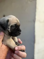 processed/66d20cd7-9862-49d6-b23d-a9b233098cc0/listing/8a4b1806-2d5c-4e00-9426-30760d353c04/a47c4a3a-02a5-4c76-a6af-b94f28e547cc