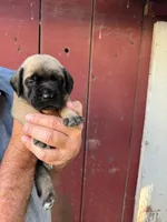 processed/66d20cd7-9862-49d6-b23d-a9b233098cc0/listing/8a4b1806-2d5c-4e00-9426-30760d353c04/aa79c23e-81ba-4ae4-a055-012e559993ad