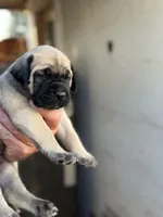 processed/66d20cd7-9862-49d6-b23d-a9b233098cc0/listing/8a4b1806-2d5c-4e00-9426-30760d353c04/b7180937-61bd-4e47-a5d9-f35d6130cac5