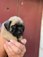 processed/66d20cd7-9862-49d6-b23d-a9b233098cc0/listing/8a4b1806-2d5c-4e00-9426-30760d353c04/c714478c-81a2-4d8b-a467-e177fcc4ff9b