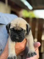 processed/66d20cd7-9862-49d6-b23d-a9b233098cc0/listing/8a4b1806-2d5c-4e00-9426-30760d353c04/de01878c-28c4-4c11-93d8-3f5448abad5d