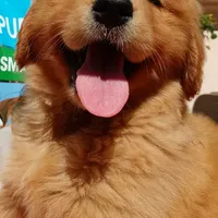 processed/66dd8ed0-26f5-4d50-bd84-cec5fa860315/facility/1fd327dd-bd02-4b53-a2cf-97590cb32999