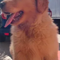 processed/66dd8ed0-26f5-4d50-bd84-cec5fa860315/facility/7d90d84d-09d0-4cd2-a800-f4279034db69