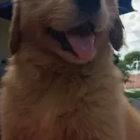 processed/66dd8ed0-26f5-4d50-bd84-cec5fa860315/facility/7ed34250-d298-4f8f-8330-30a968f98054