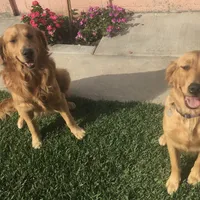 processed/66dd8ed0-26f5-4d50-bd84-cec5fa860315/facility/989e372c-edf4-4a27-9635-a4d5c0f19e63