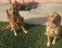 processed/66dd8ed0-26f5-4d50-bd84-cec5fa860315/facility/989e372c-edf4-4a27-9635-a4d5c0f19e63