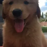 processed/66dd8ed0-26f5-4d50-bd84-cec5fa860315/facility/bff73ff2-4b25-47ff-bdc5-80bbd09f1fdc