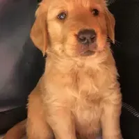 processed/66dd8ed0-26f5-4d50-bd84-cec5fa860315/facility/d770ba7a-31f1-4927-bdd9-cff6ce45f91e