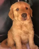 processed/66dd8ed0-26f5-4d50-bd84-cec5fa860315/facility/d770ba7a-31f1-4927-bdd9-cff6ce45f91e