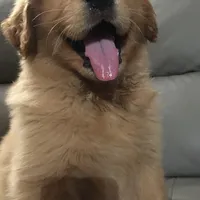 processed/66dd8ed0-26f5-4d50-bd84-cec5fa860315/facility/fed4764a-0adc-460e-8f00-563c2c4aaef1