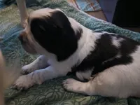 processed/66e7827d-7ca0-4039-9254-167caf792a71/listing/d452bf7b-a5d3-41a2-b6a9-c22facd539b4/dad904f0-e7d0-454e-8fb8-c1bbbec1c7dc