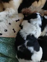 processed/66e7827d-7ca0-4039-9254-167caf792a71/listing/d452bf7b-a5d3-41a2-b6a9-c22facd539b4/e81e4a30-d271-45d7-b205-1288b5de672d