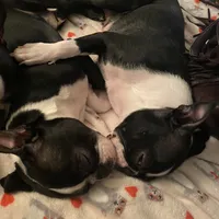 processed/66eba626-2e83-42f6-aac5-bb04e38f4fd5/facility/10d4d876-df13-402b-b12e-320d122a8a6e