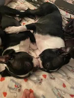 processed/66eba626-2e83-42f6-aac5-bb04e38f4fd5/facility/10d4d876-df13-402b-b12e-320d122a8a6e