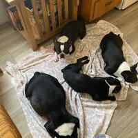 processed/66eba626-2e83-42f6-aac5-bb04e38f4fd5/facility/1d0ca420-f728-44c5-9fa5-a2150dea94c2