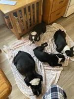 processed/66eba626-2e83-42f6-aac5-bb04e38f4fd5/facility/1d0ca420-f728-44c5-9fa5-a2150dea94c2