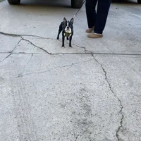 processed/66eba626-2e83-42f6-aac5-bb04e38f4fd5/facility/3f1bc5c6-cf0f-4f08-8392-0394e0f8c789