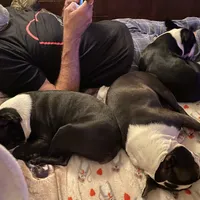 processed/66eba626-2e83-42f6-aac5-bb04e38f4fd5/facility/499d3805-e15b-47c1-b6a4-08a6cd300970