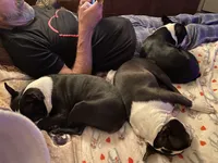 processed/66eba626-2e83-42f6-aac5-bb04e38f4fd5/facility/499d3805-e15b-47c1-b6a4-08a6cd300970