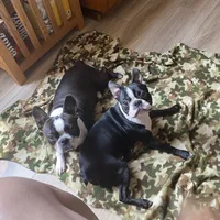 processed/66eba626-2e83-42f6-aac5-bb04e38f4fd5/facility/677a2737-5b84-41eb-ba99-49522b77cbb7