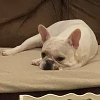 processed/66eba626-2e83-42f6-aac5-bb04e38f4fd5/facility/a59de9b2-bde9-4e22-baa2-5f824e50733f