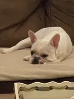 processed/66eba626-2e83-42f6-aac5-bb04e38f4fd5/facility/a59de9b2-bde9-4e22-baa2-5f824e50733f