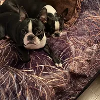 processed/66eba626-2e83-42f6-aac5-bb04e38f4fd5/facility/c2fb4d1a-eb63-4182-ac0a-b7f6bbe1dcc3