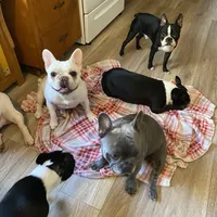 processed/66eba626-2e83-42f6-aac5-bb04e38f4fd5/facility/d3952ac2-78d7-48e8-82eb-e2d5563c064d