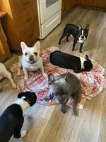 processed/66eba626-2e83-42f6-aac5-bb04e38f4fd5/facility/d3952ac2-78d7-48e8-82eb-e2d5563c064d