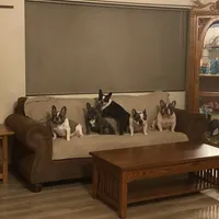 processed/66eba626-2e83-42f6-aac5-bb04e38f4fd5/facility/f0f3bb72-418e-4fb7-ae88-96640768e62a