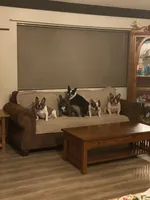 processed/66eba626-2e83-42f6-aac5-bb04e38f4fd5/facility/f0f3bb72-418e-4fb7-ae88-96640768e62a