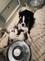 processed/66eba626-2e83-42f6-aac5-bb04e38f4fd5/listing/1abbc20d-ddaf-490f-9eae-c11c734a2953/ab2c7cdf-8bb5-4f3f-a8c4-46f00d626ceb