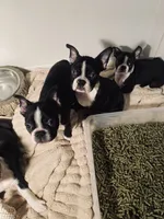 processed/66eba626-2e83-42f6-aac5-bb04e38f4fd5/listing/826b06a6-d1c0-4826-bb77-1deb6cf264d4/758ae086-2b64-4421-af98-0807ab44282a