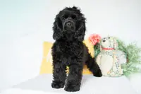 processed/66ed7928-6978-42b9-a59e-15c06dfbe16a/listing/cd9df1e6-7881-4e4a-a220-c6cbc8fb63b8/109080f0-d3ac-428e-bf32-6aa714b9d054