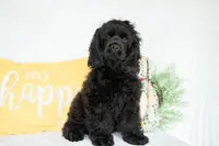 processed/66ed7928-6978-42b9-a59e-15c06dfbe16a/listing/cd9df1e6-7881-4e4a-a220-c6cbc8fb63b8/3b572f57-acbb-40f5-8758-954ea73df491