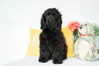 processed/66ed7928-6978-42b9-a59e-15c06dfbe16a/listing/cd9df1e6-7881-4e4a-a220-c6cbc8fb63b8/70951196-b390-4173-985b-f89a4dc20fd3