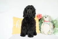 processed/66ed7928-6978-42b9-a59e-15c06dfbe16a/listing/cd9df1e6-7881-4e4a-a220-c6cbc8fb63b8/bea3cd5f-a245-4856-a2bf-5ebcf20a9054