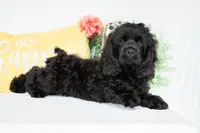 processed/66ed7928-6978-42b9-a59e-15c06dfbe16a/listing/cd9df1e6-7881-4e4a-a220-c6cbc8fb63b8/d03eaefd-21ce-4561-915f-5c77dda36d63