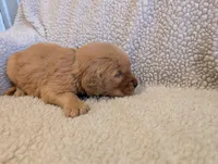 processed/66ee401e-54cf-4749-a757-8baffe376bed/listing/2af6114c-32ac-414b-afda-ef505d3ae772/2e1c6338-b80d-462a-b54b-59a11b6bb2ad