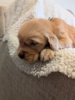 processed/66ee401e-54cf-4749-a757-8baffe376bed/listing/2af6114c-32ac-414b-afda-ef505d3ae772/95cae18d-a850-4a6a-b8d0-88a6c7c7576a