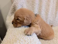 processed/66ee401e-54cf-4749-a757-8baffe376bed/listing/2af6114c-32ac-414b-afda-ef505d3ae772/ed610b30-48df-4bb8-8d1b-9eb1538df1ff