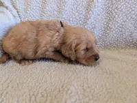 processed/66ee401e-54cf-4749-a757-8baffe376bed/listing/531eead9-f7eb-4ad5-9cc6-6496851931a6/0cf99a8a-2293-4d1f-99e3-e8fbfb29d7fa