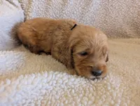 processed/66ee401e-54cf-4749-a757-8baffe376bed/listing/531eead9-f7eb-4ad5-9cc6-6496851931a6/5aeda8ff-117d-4937-a5b5-aff47102c6f1