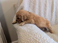 processed/66ee401e-54cf-4749-a757-8baffe376bed/listing/531eead9-f7eb-4ad5-9cc6-6496851931a6/ba7da60b-3af6-4212-bb4c-847d18d1fa72