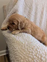 processed/66ee401e-54cf-4749-a757-8baffe376bed/listing/531eead9-f7eb-4ad5-9cc6-6496851931a6/eb372223-bdd4-4764-880b-9c197bc78b1b