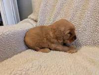 processed/66ee401e-54cf-4749-a757-8baffe376bed/listing/847bc6db-63dc-4648-b1ef-85b3fdd3baac/17e75534-89f9-4d7e-987f-5dc7d34fced7