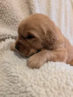 processed/66ee401e-54cf-4749-a757-8baffe376bed/listing/847bc6db-63dc-4648-b1ef-85b3fdd3baac/630e92d1-ad4d-4e25-a5f8-b5fe72af2f09